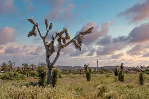 129 Annie Oakley, Pioneertown, CA 92268