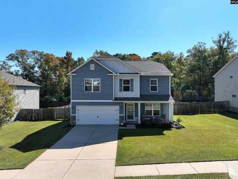 123 Sunsation Drive, Chapin, SC 29036