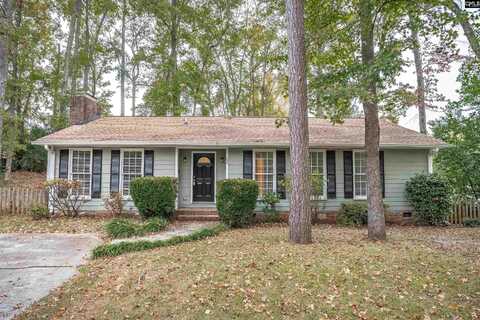 104 Point South Court, Lexington, SC 29073