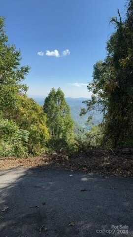 999 Halfmoon Ridge, Hot Springs, NC 28743