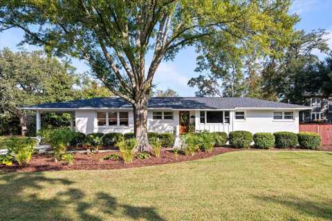 264 Palm Street, Mount Pleasant, SC 29464