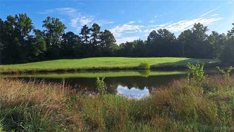 0 Old Beaver Pond Road, Dinwiddie, VA 23872