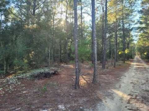 Lot 20 Blk 33 W. Black Cherry Drive, DeFuniak Springs, FL 32433