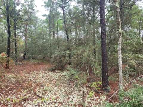 Lot 12 Blk 83 Snapdragon East Street, DeFuniak Springs, FL 32433