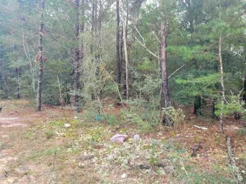 Lot 5 Blk 6 E. Violet Lane, DeFuniak Springs, FL 32433