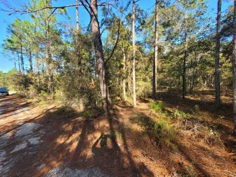 Lot 10 Blk 20 English Holly Lane, DeFuniak Springs, FL 32433