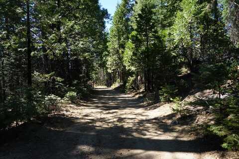 0 Providence Creek Road, Shaver Lake, CA 93664