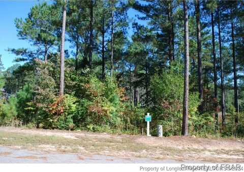 132 Broadlake (634) Lane, Spring Lake, NC 28390