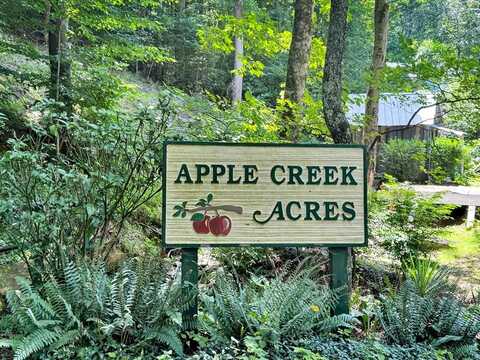 Lot 9 Apple Creek Road, Waynesville, NC 28786