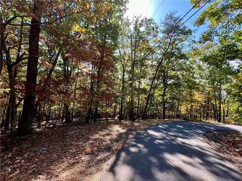 0 Oglethorpe Mountain Road, Jasper, GA 30143