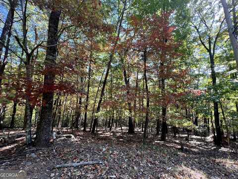 0 Oglethorpe Mountain, Jasper, GA 30143