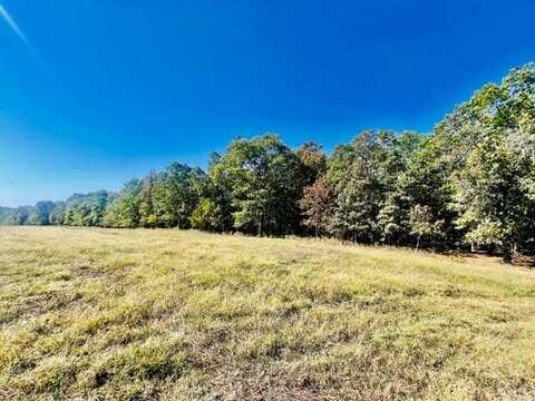 Tbd Bell Road, Success, MO 65570