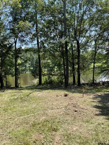 Lot 29 TBD County Road 4826, Winnsboro, TX 75494