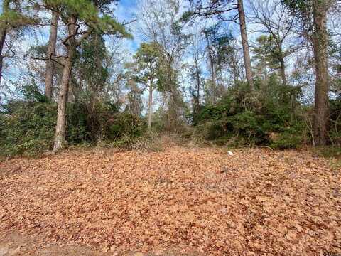 TBD Beech Road, Big Sandy, TX 75755