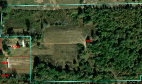 TBD Cr 3418, Leesburg, TX 75451