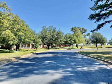 Lot 30 Easy St, Frankston, TX 75763