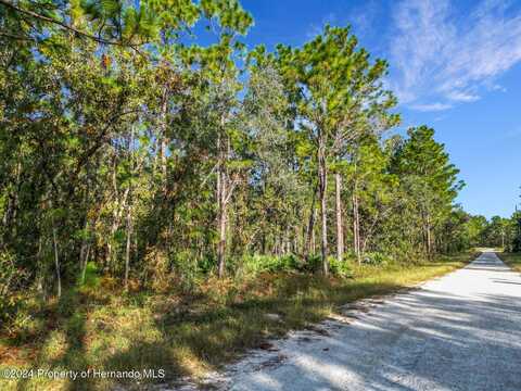 0 Macek, Weeki Wachee, FL 34614