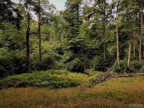 Tbd Sagee Woods Drive, Highlands, NC 28741