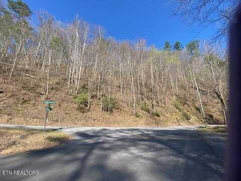 2 N Clear Fork Rd, Sevierville, TN 37862