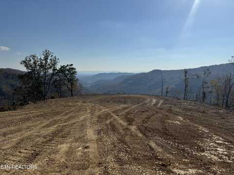 Lot #11 STANLEY CREEK Rd, Oneida, TN 37841