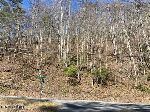 Lot 1 N Clear Fork Rd, Sevierville, TN 37862