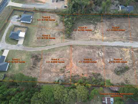 Tract 4 Boston Road, Gilmer, TX 75645