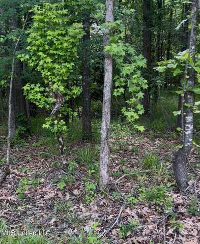 5147 S Hwy 51, Hernando, MS 38632