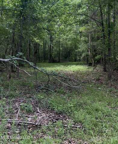 5135 S Hwy 51, Hernando, MS 38632
