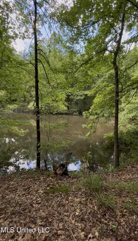 5143 S Hwy 51, Hernando, MS 38632