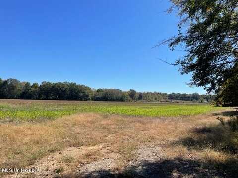 0 Rowell Road, Coldwater, MS 38618