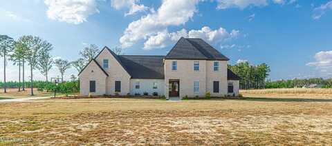 513 Stump Ridge Road, Brandon, MS 39047