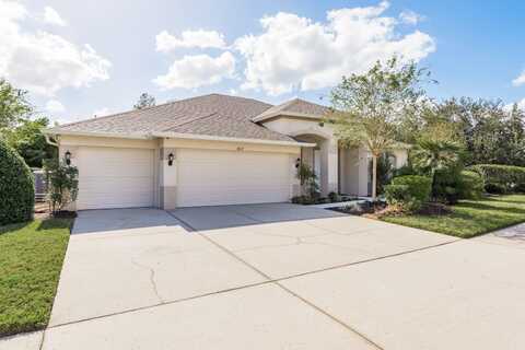 8817 CRYSTAL CREEK COURT, LAND O LAKES, FL 34638