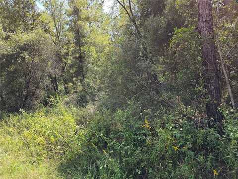 Lot 14 SW 156TH COURT, OCALA, FL 34481