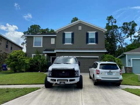 12217 SWAYING MOSS CIRCLE, RIVERVIEW, FL 33569