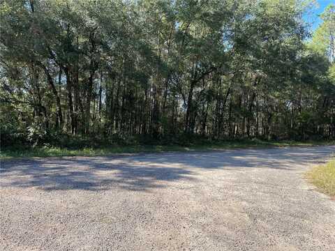 247 E MCFADDIN PLACE, DUNNELLON, FL 34434