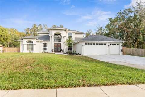 10508 HINDS PLACE, ODESSA, FL 33556