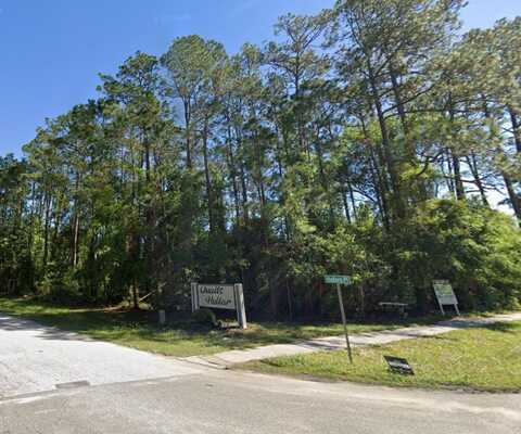 Tbd HOLLARS PLACE, MIDDLEBURG, FL 32068