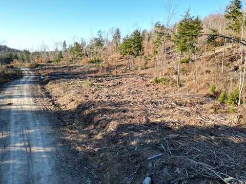 Lot 11 Ghost Road, Springfield, ME 04487