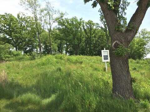 Lot 20,1221 RIDGEMOOR Trail, Woodstock, IL 60098