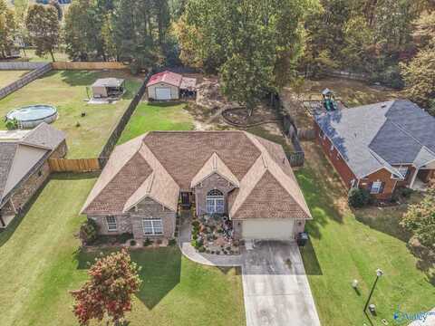 206 Hope Ridge Drive, New Hope, AL 35760