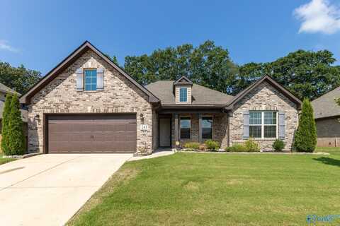 243 Dustin Lane, Madison, AL 35757