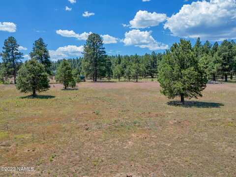 131 High Meadow Lane, Flagstaff, AZ 86005