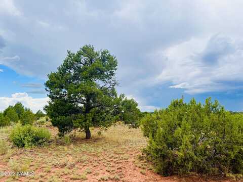 Lasso Loop, Williams, AZ 86046