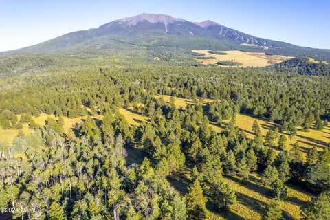 0000 Forest Service Rd. 9001k, Flagstaff, AZ 86001