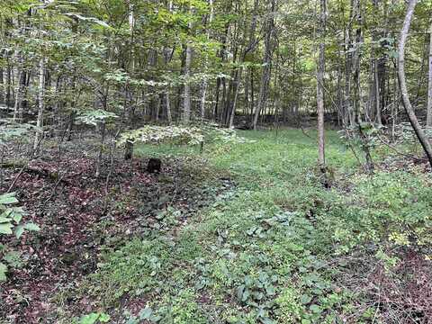 917 Mudlick Run Road, Fairmont, WV 26554
