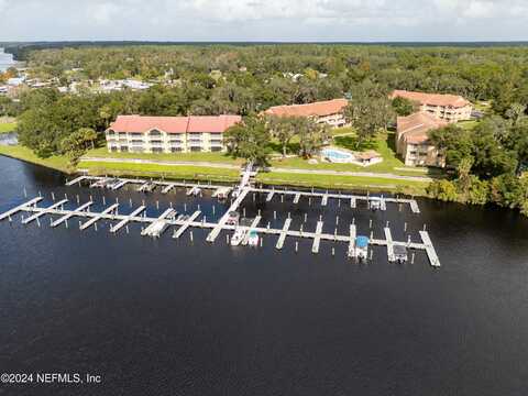 99 BROAD RIVER Place, Welaka, FL 32193