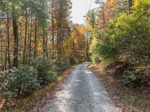 51.96 Ac Laughing Bird Lane, Ellijay, GA 30536