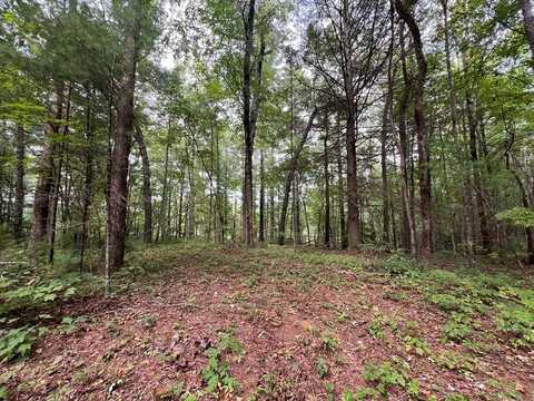 Whitecliff Drive, Ellijay, GA 30540