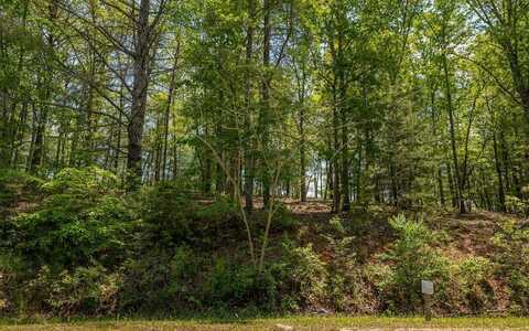 Lot 59 Old Toccoa Loop, Mineral Bluff, GA 30559