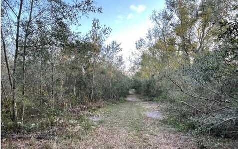 TBD 173RD ROAD (A), Mc Alpin, FL 32062